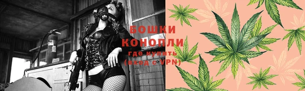 ГАЛЛЮЦИНОГЕННЫЕ ГРИБЫ Магас