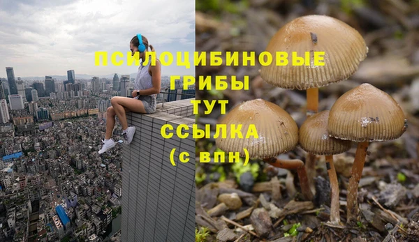 МДПВ Магадан