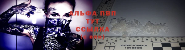 ГАЛЛЮЦИНОГЕННЫЕ ГРИБЫ Магас