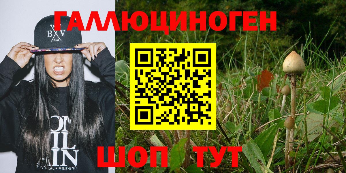 Кемерово  Галлюциногенные грибы GOLDEN TEACHER  Вход с VPN 