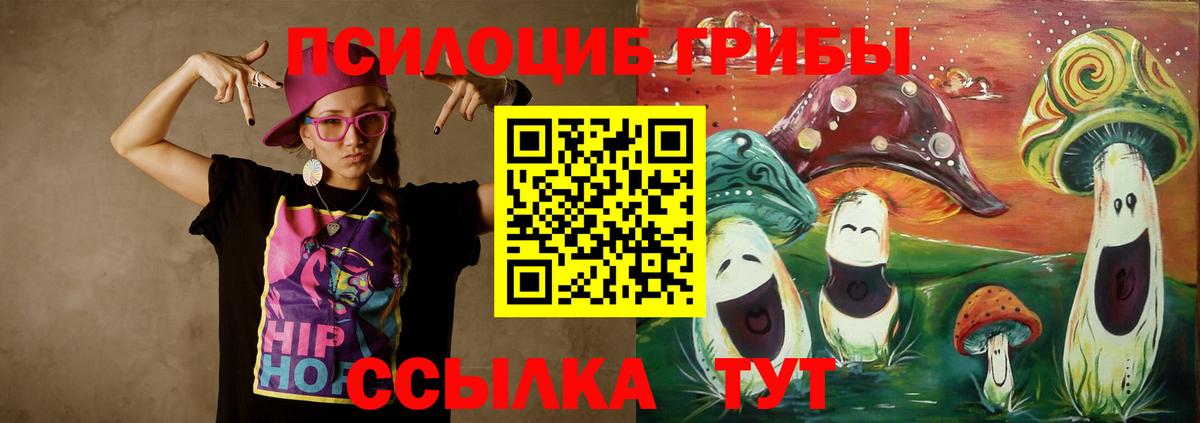 Галлюциногенные грибы Psilocybine cubensis Кемерово